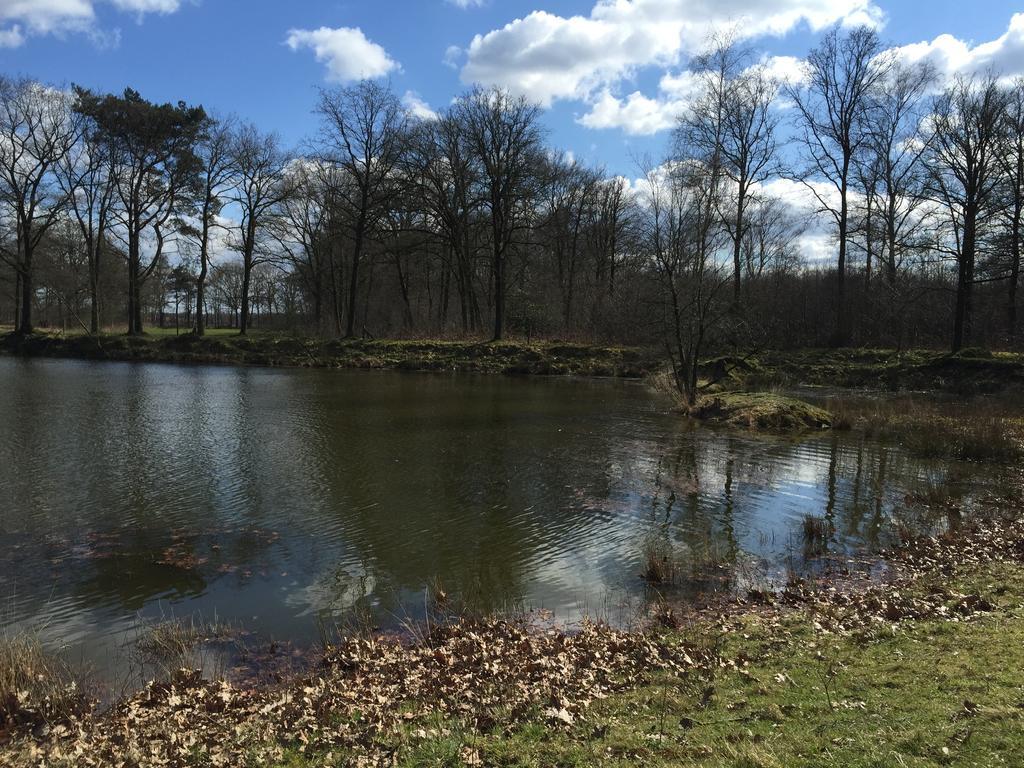 'T Vosseven Vakantiehuizen Stramproy Exteriér fotografie