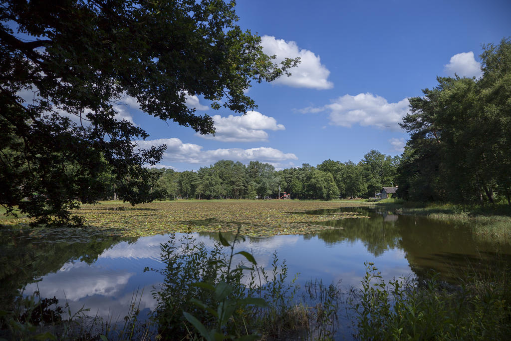 'T Vosseven Vakantiehuizen Stramproy Exteriér fotografie